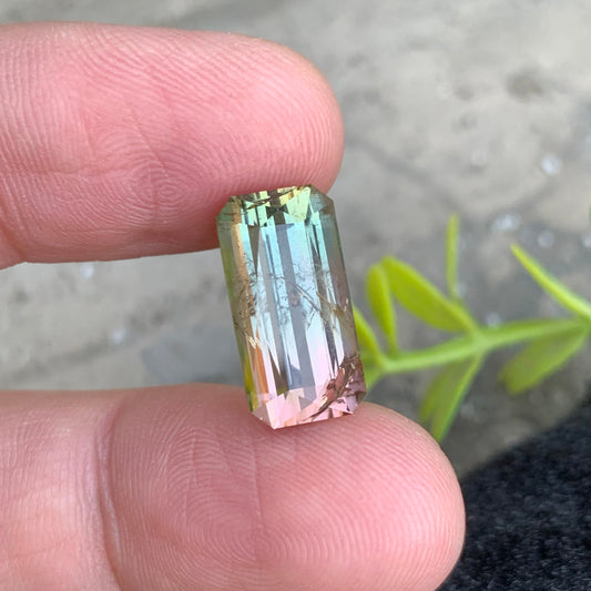 Bicolor Tourmaline
Bicolor Gemstone