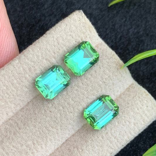 Bluish Green Tourmaline gemstone
Bluish Green Tourmaline jewelry