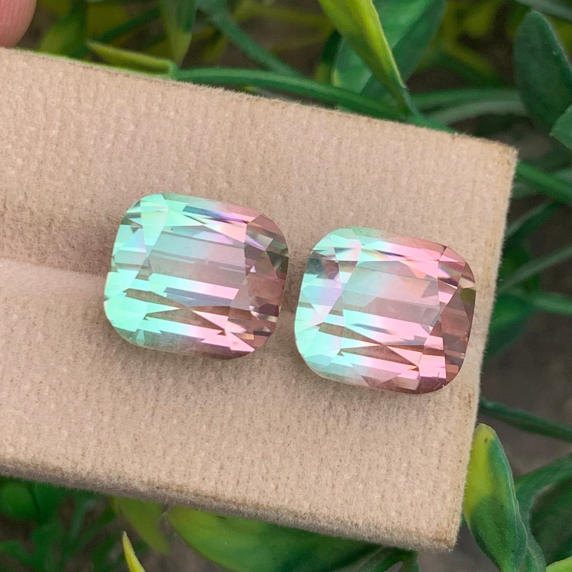 Bicolor Tourmaline earring
 Bicolor Tourmaline pair