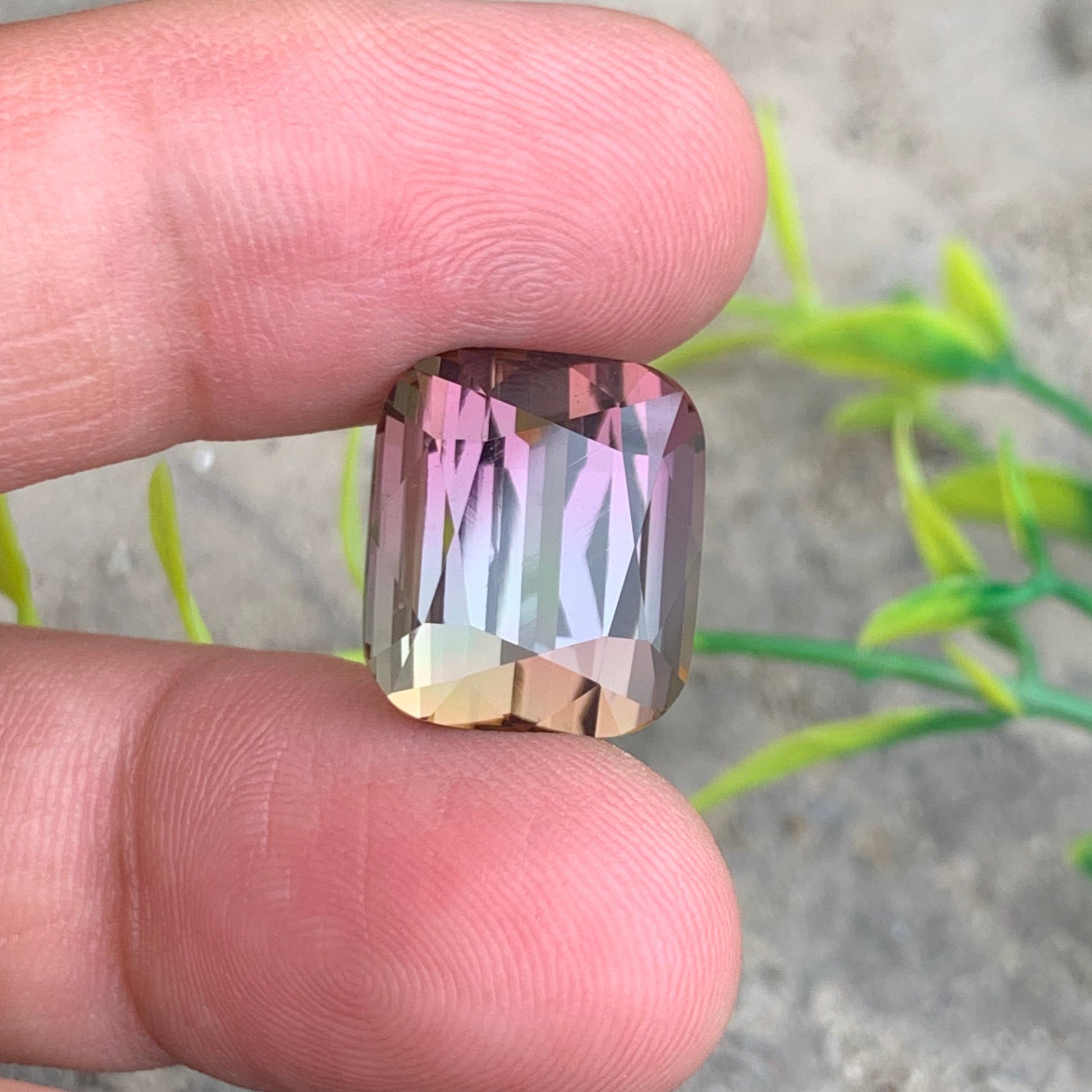 bicolor Tourmaline gemstone
bicolor Tourmaline jewelry