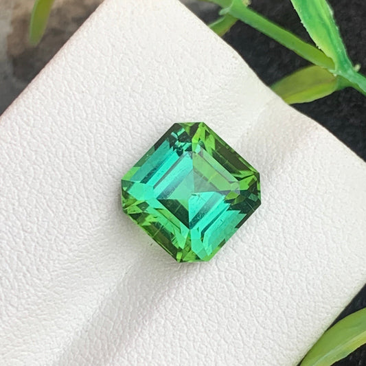  Bluish Green Tourmaline stone
 Bluish Green Tourmaline ring
 Bluish Green Tourmaline jewelry