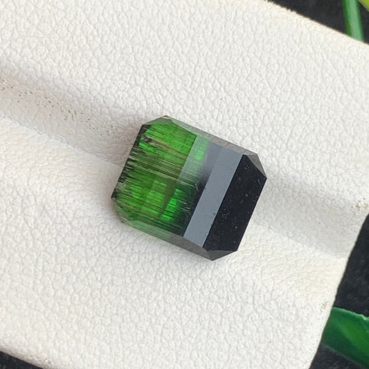Bicolor Tourmaline gemstone
Bicolor Tourmaline  jewely