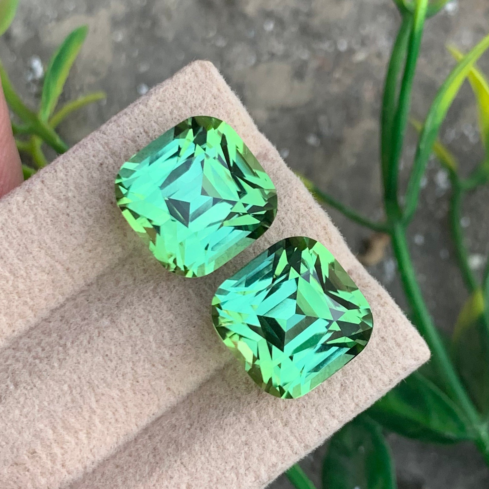 Bluish Green Tourmaline pair
Bluish Green Tourmaline earrings
Bluish Green Tourmaline gift
Bluish Green Tourmaline ring
Bluish Green Tourmaline pendant