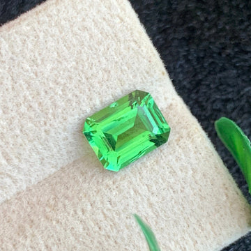 Chrome Tourmaline gemstone
Chrome Tourmaline  jewelry