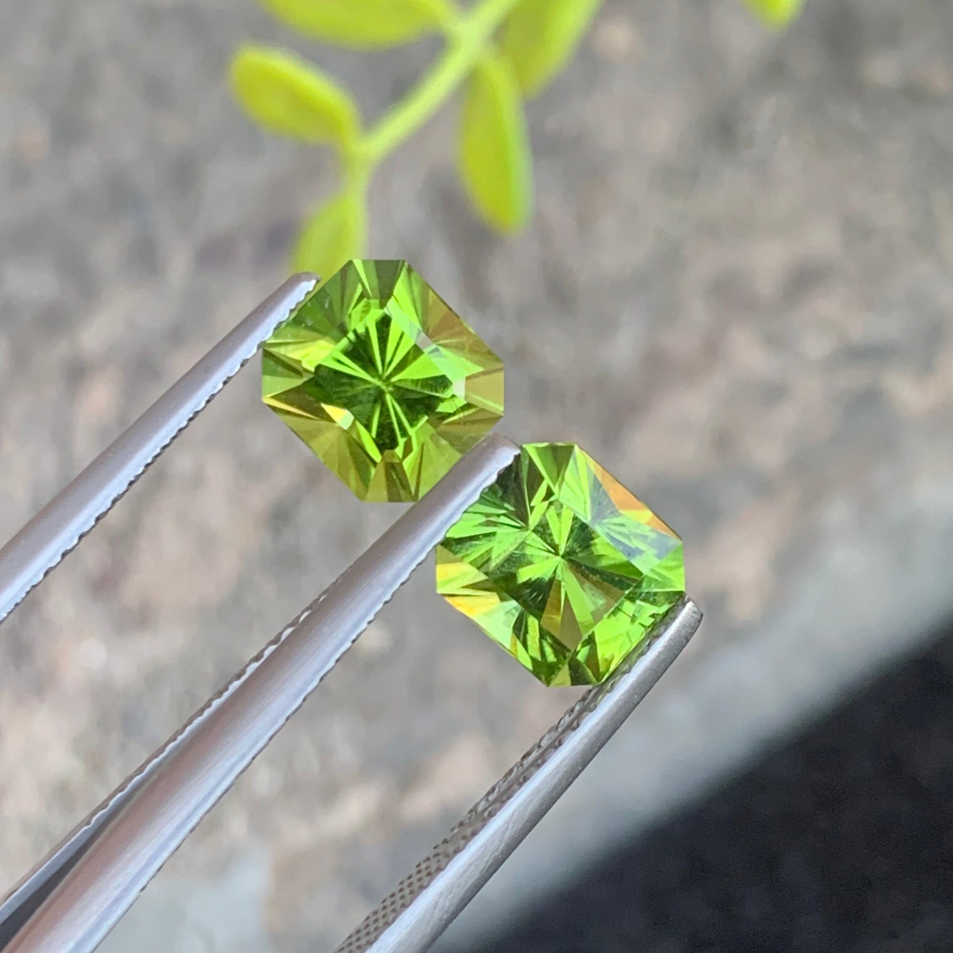 Green Peridot pair
Green Peridot earrings