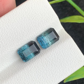 Bicolor Tourmaline pair
Bicolor Tourmaline earring