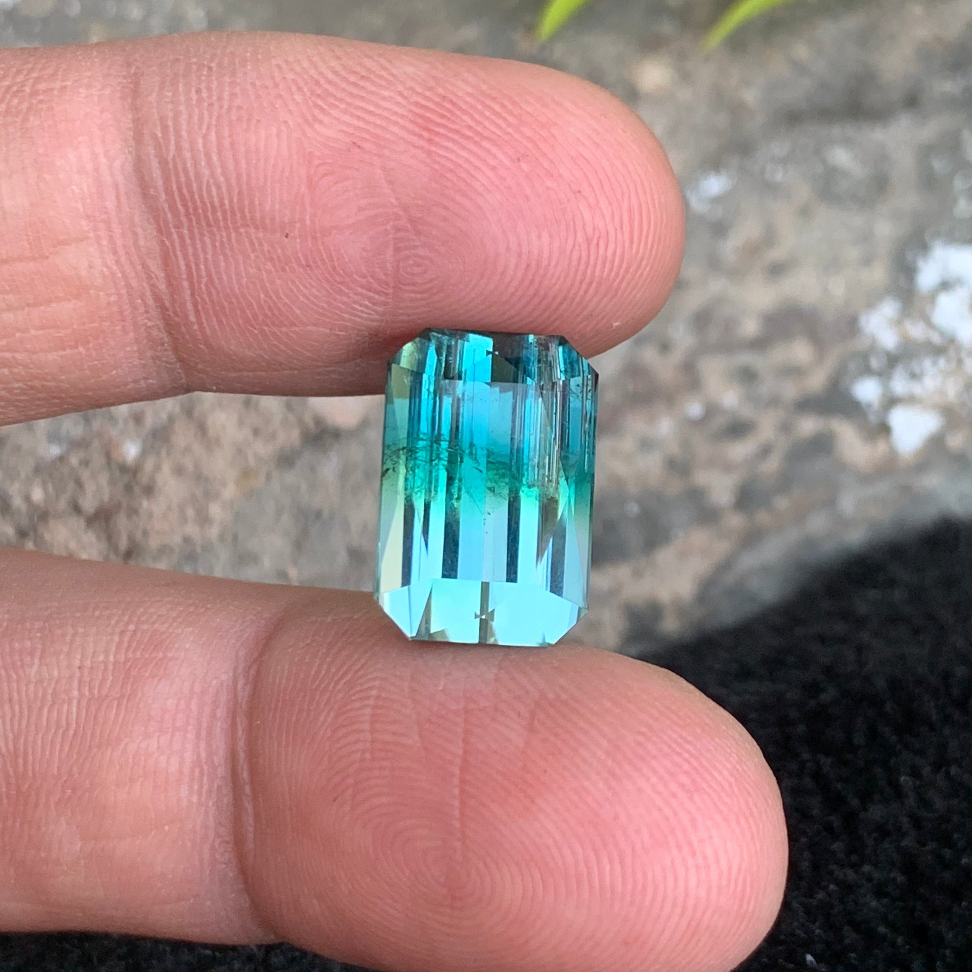 Bicolor Tourmaline
bi color tourmaline