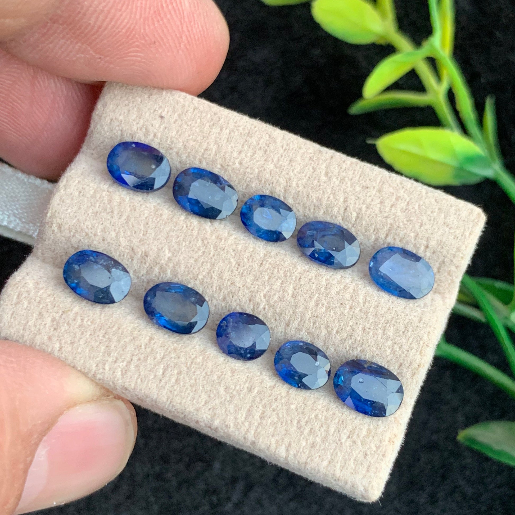 Blue Sapphire Gemstone
Blue Sapphire Jewelry