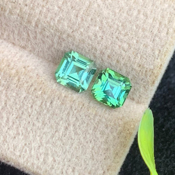 Green Tourmaline earrings
Green Tourmaline pair