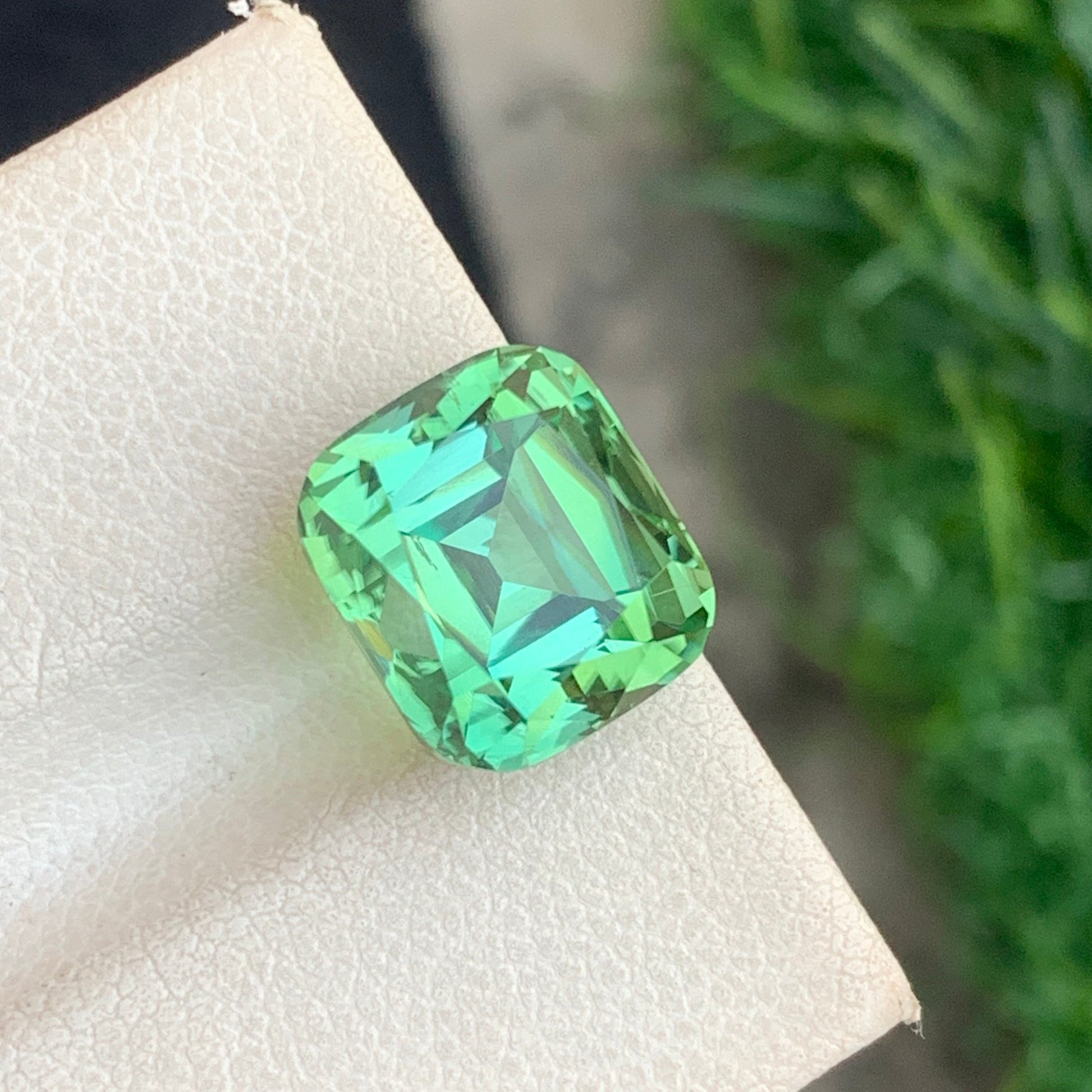 apple green tourmaline