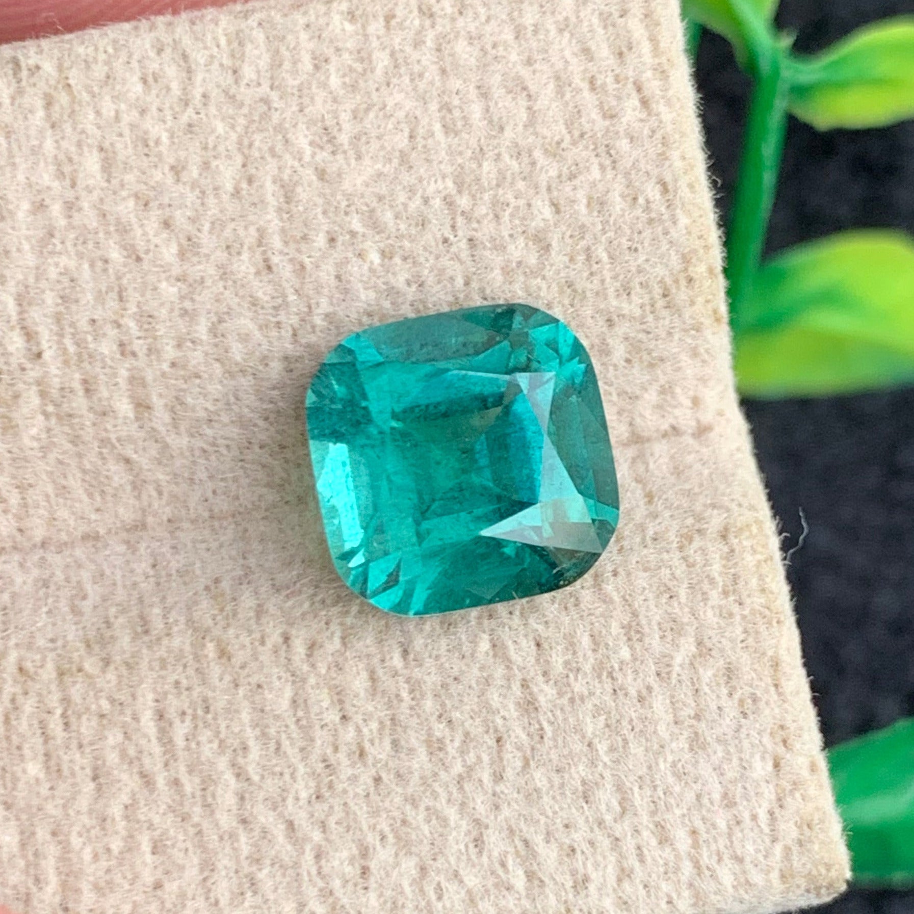  Lagoon Tourmaline gemstone
 Lagoon Tourmaline  jewelry