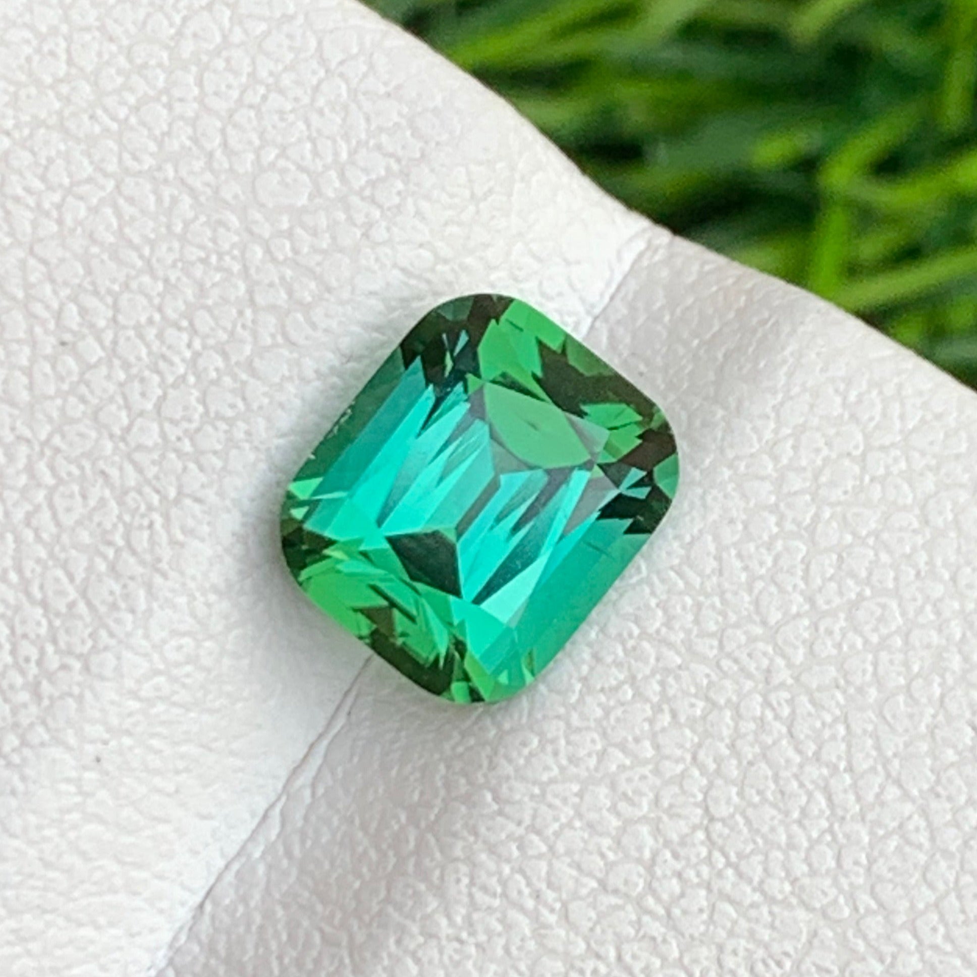 Bicolor tourmaline