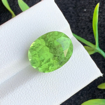 Apple Green Peridot gemstone
Apple Green Peridot jewelry