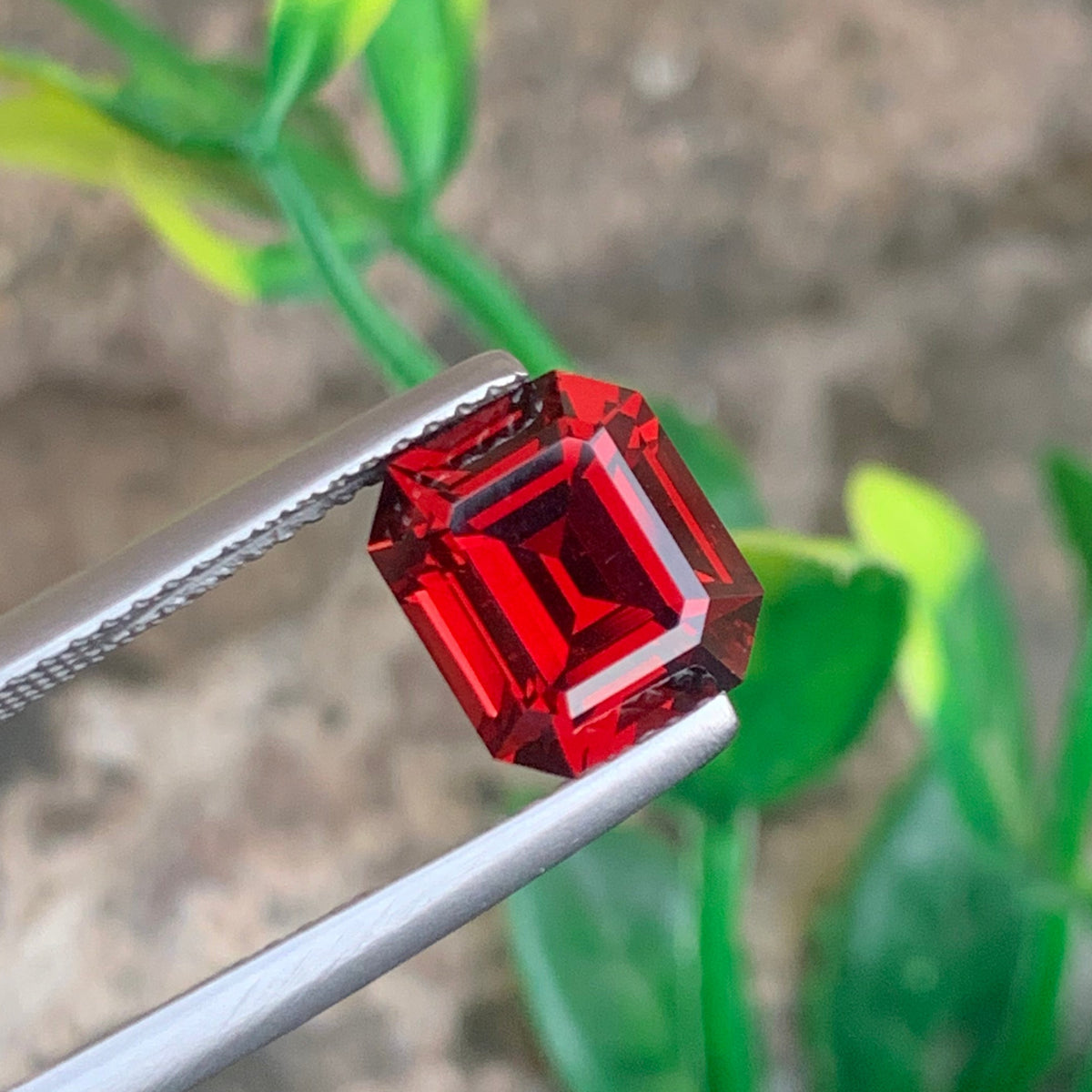  Rhodolite Garnet  gemstone
 Rhodolite Garnet jewelry