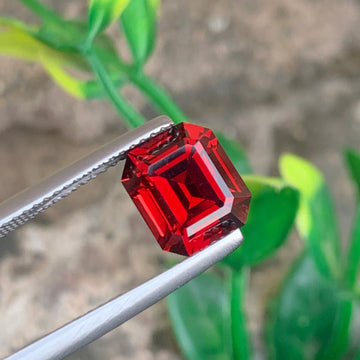  Rhodolite Garnet  gemstone
 Rhodolite Garnet jewelry