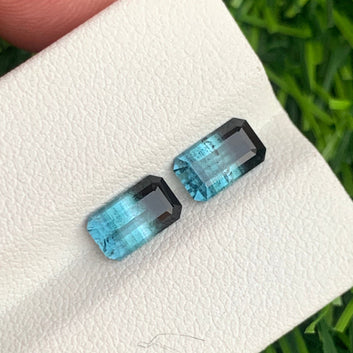  bicolor tourmaline pair
 bicolor tourmaline earrings