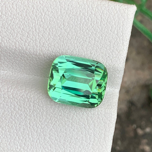 Apple Green Tourmaline Gemstone
Apple Green Tourmaline Jewelry