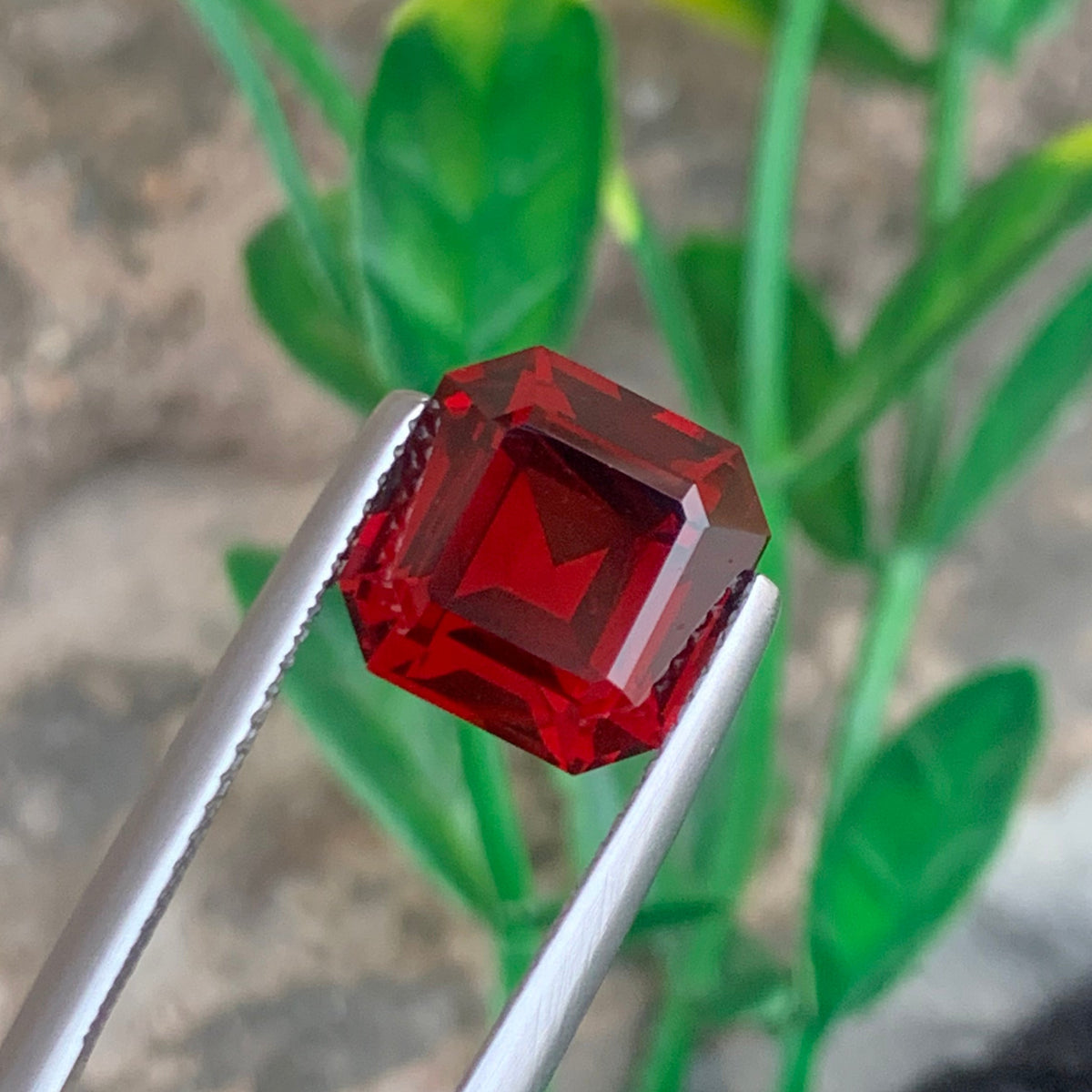 Rhodolite Garnet ring
Rhodolite Garnet pendant

