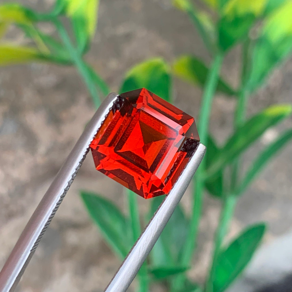 Hessonite Garnet ring
Hessonite Garnet pendant