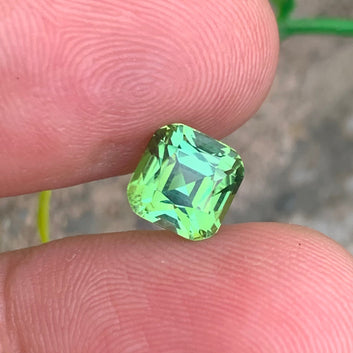Yellow Forest Green Tourmaline pedant
Yellow Forest Green Tourmaline gift