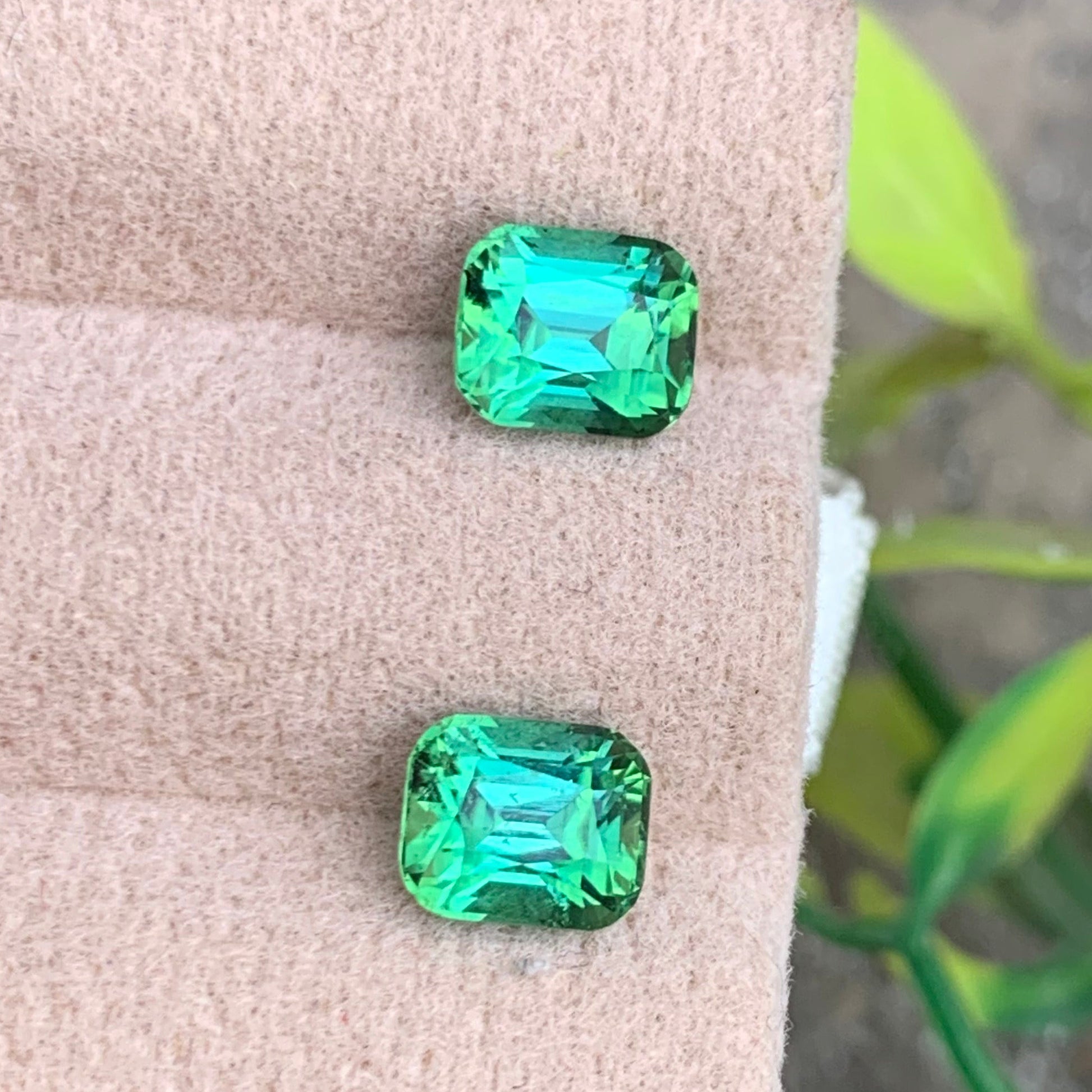  Bluish Green Tourmaline pair
 Bluish Green Tourmaline Earrings