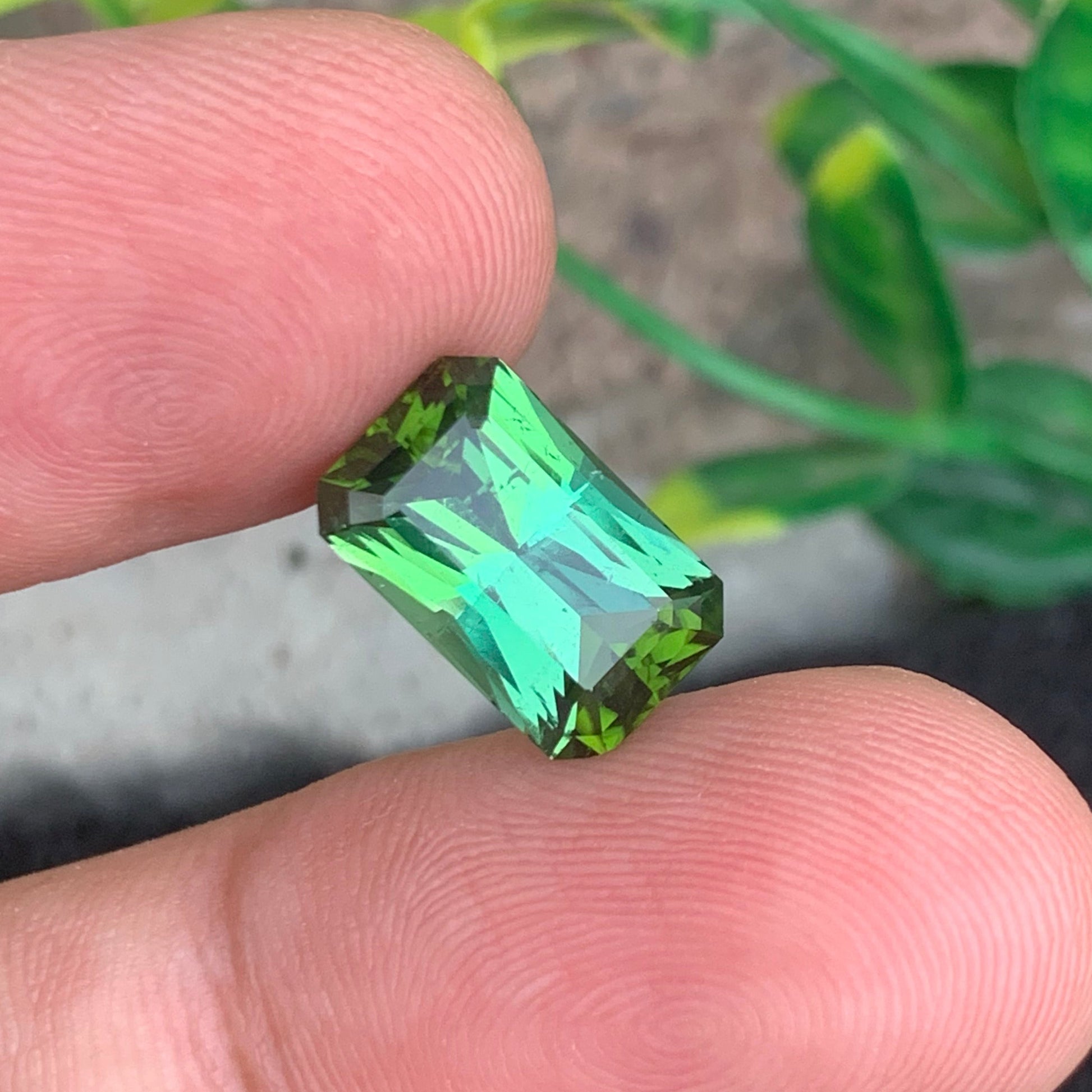 Yellow Bluish Green Tourmaline
Bluish Green Tourmaline ring