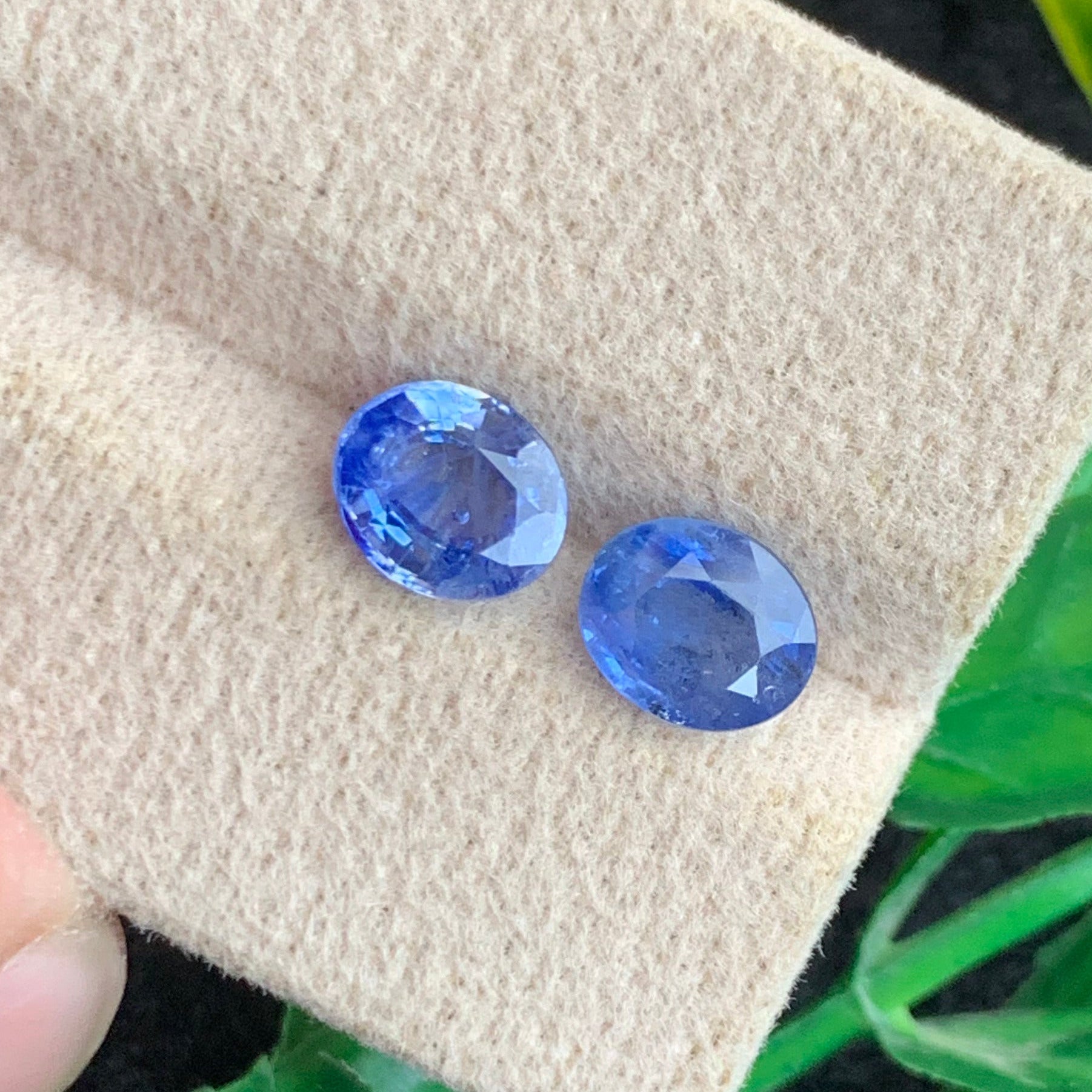  Blue Sapphire gemstone
 Blue Sapphire jewelry