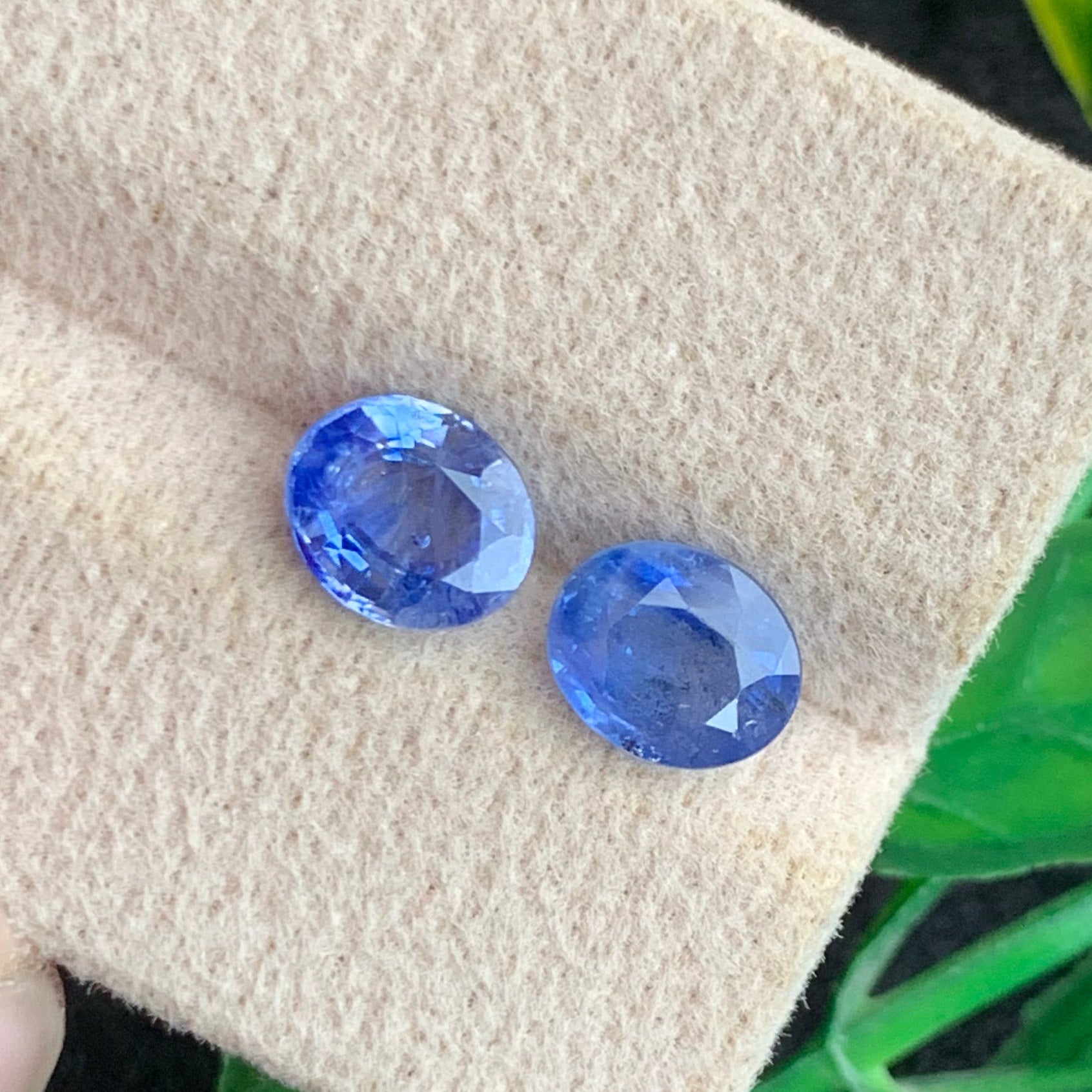 sapphire pair
sapphire earrings
