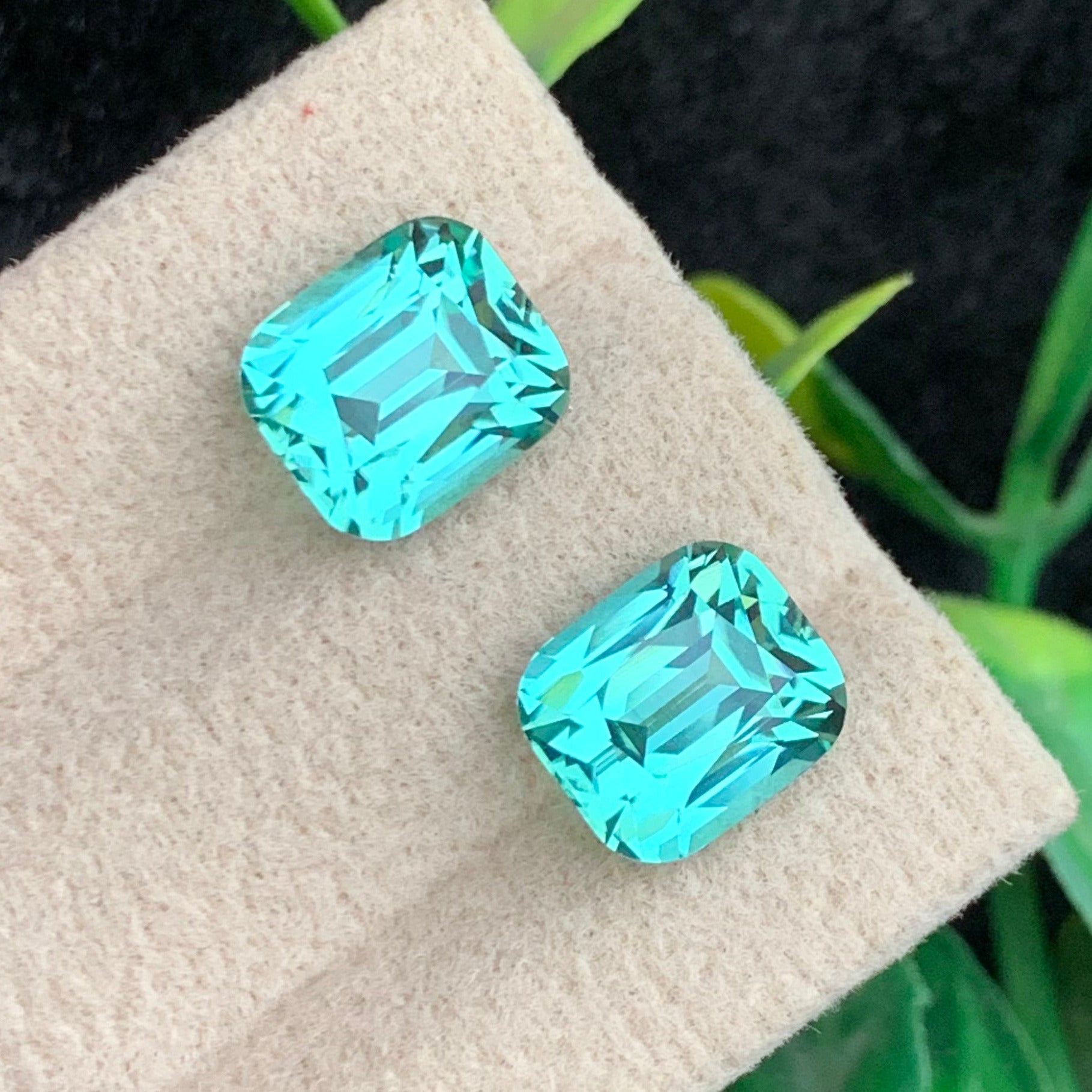 Paraiba Tourmaline Pair 