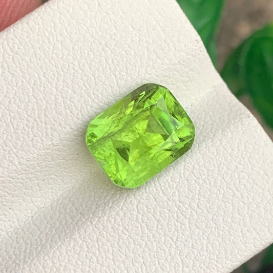 Green Peridot gemstone
Green Peridot jewelry
