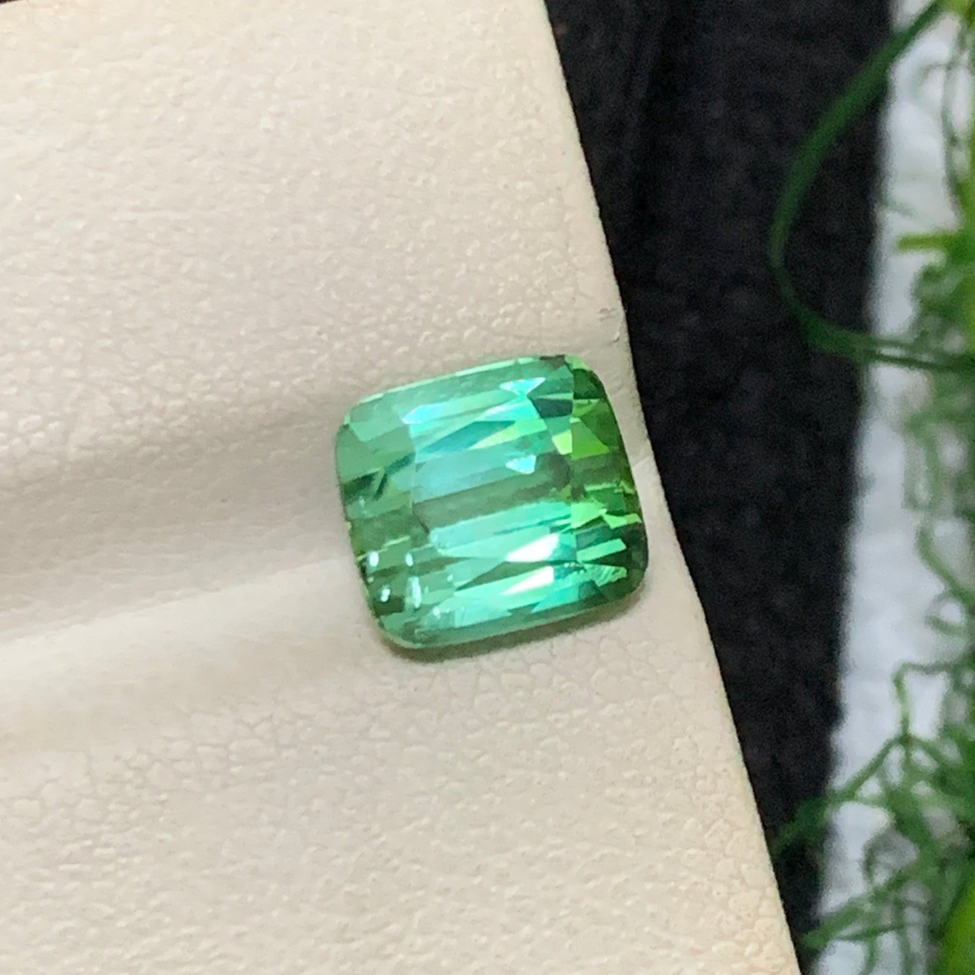 bicolor tourmaline