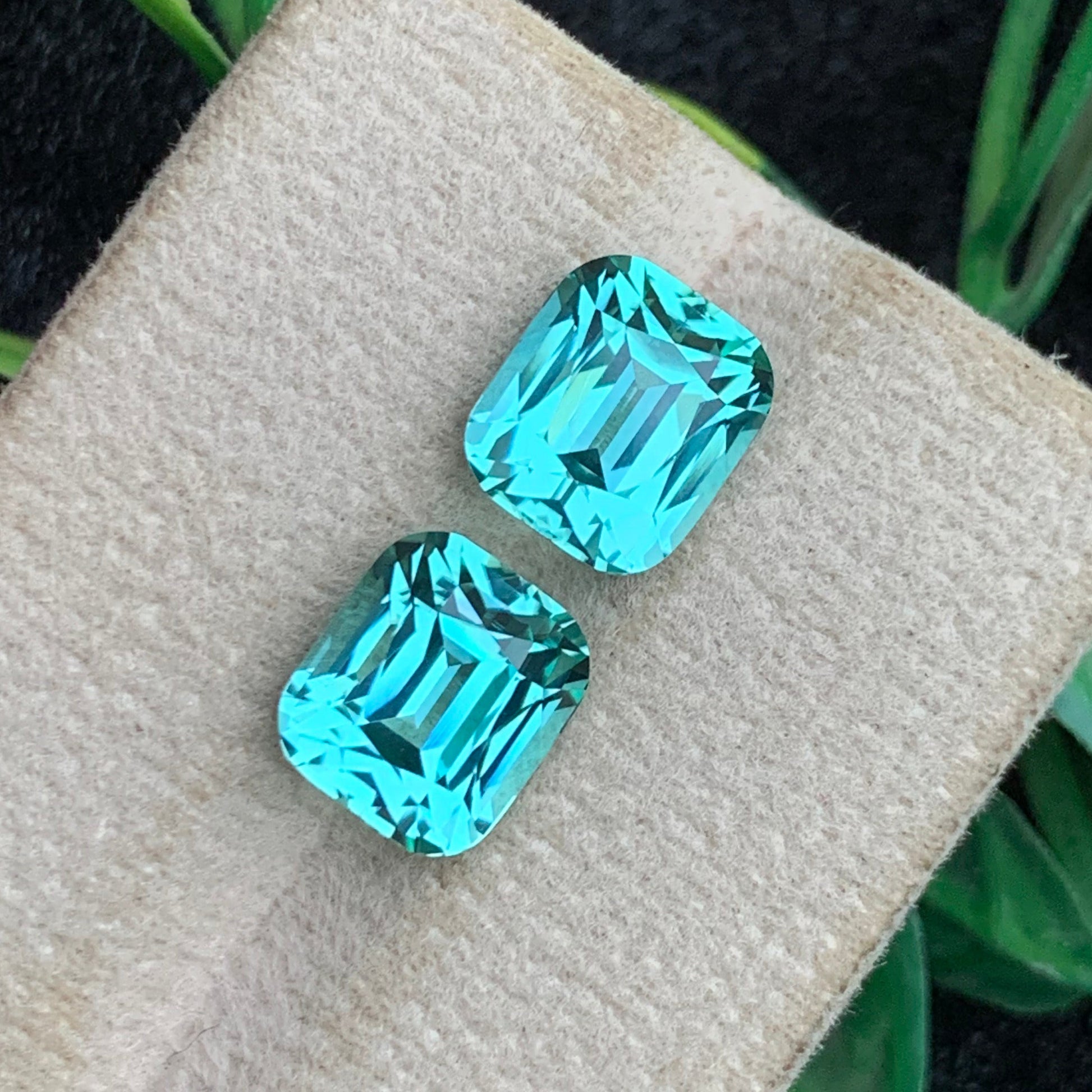 Paraiba-Like Tourmaline pair
Paraiba-Like Tourmaline Earrings