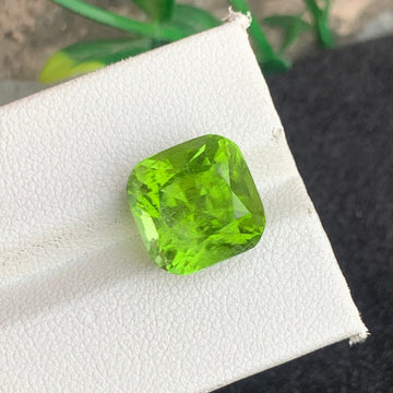 Green Peridot Gemstone gemstone
Green Peridot Gemstone jewelry