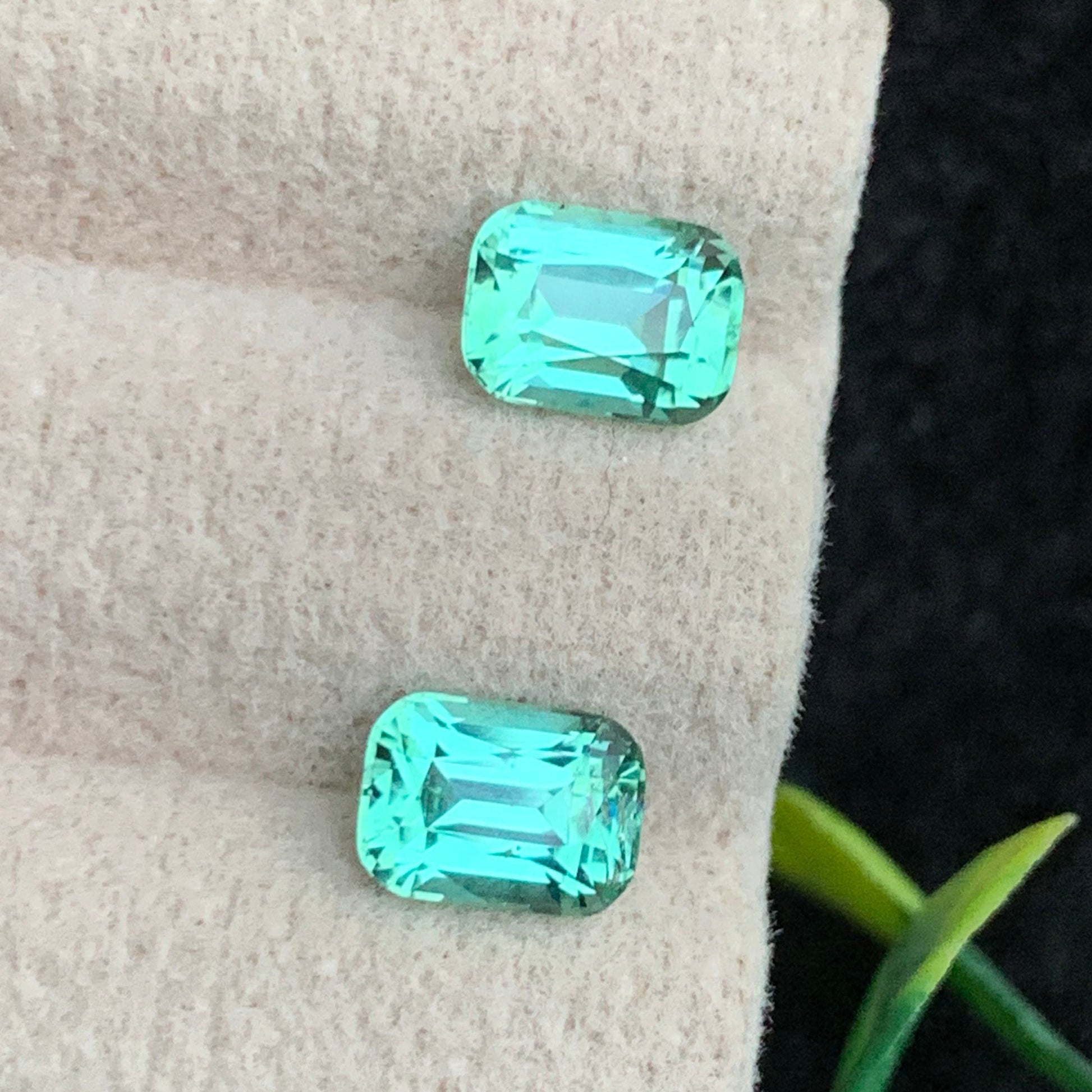 Seafoam Tourmaline
Seafoam Tourmaline jewelry