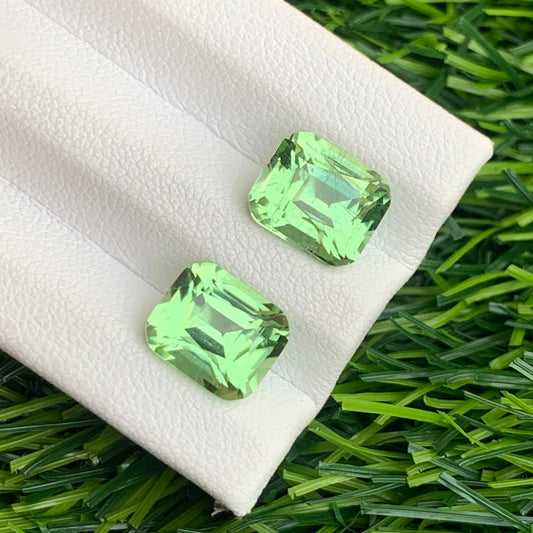 Green Peridot gemstone
Green Peridot pair
Green Peridot earring