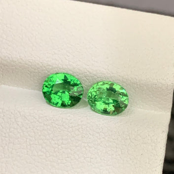 Tsavorite Garnet Stone
Tsavorite Garnet Pair
Tsavorite Garnet Earrings