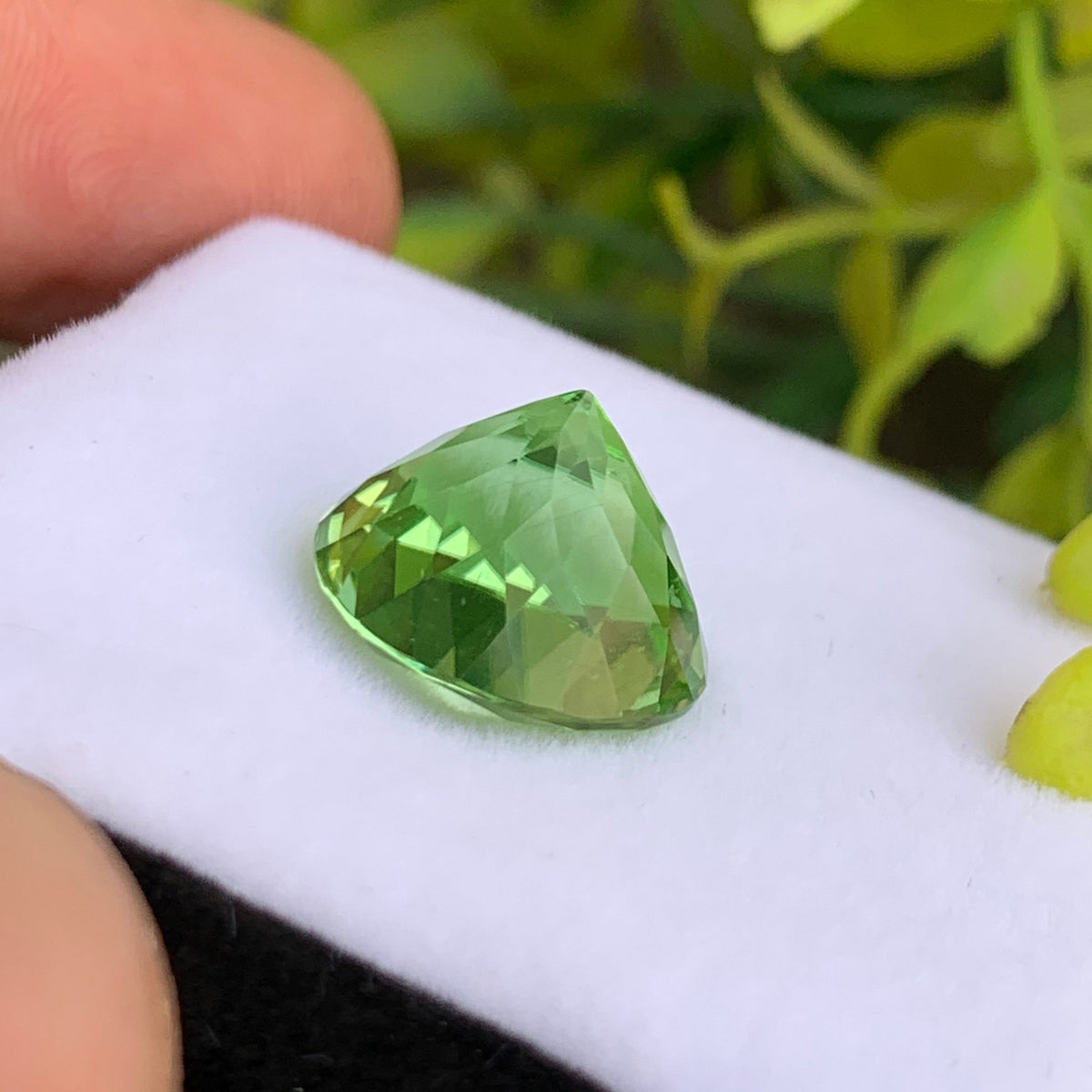 Round cut peridot side profile showing brilliance
Pea green peridot eye clean clarity close-up
