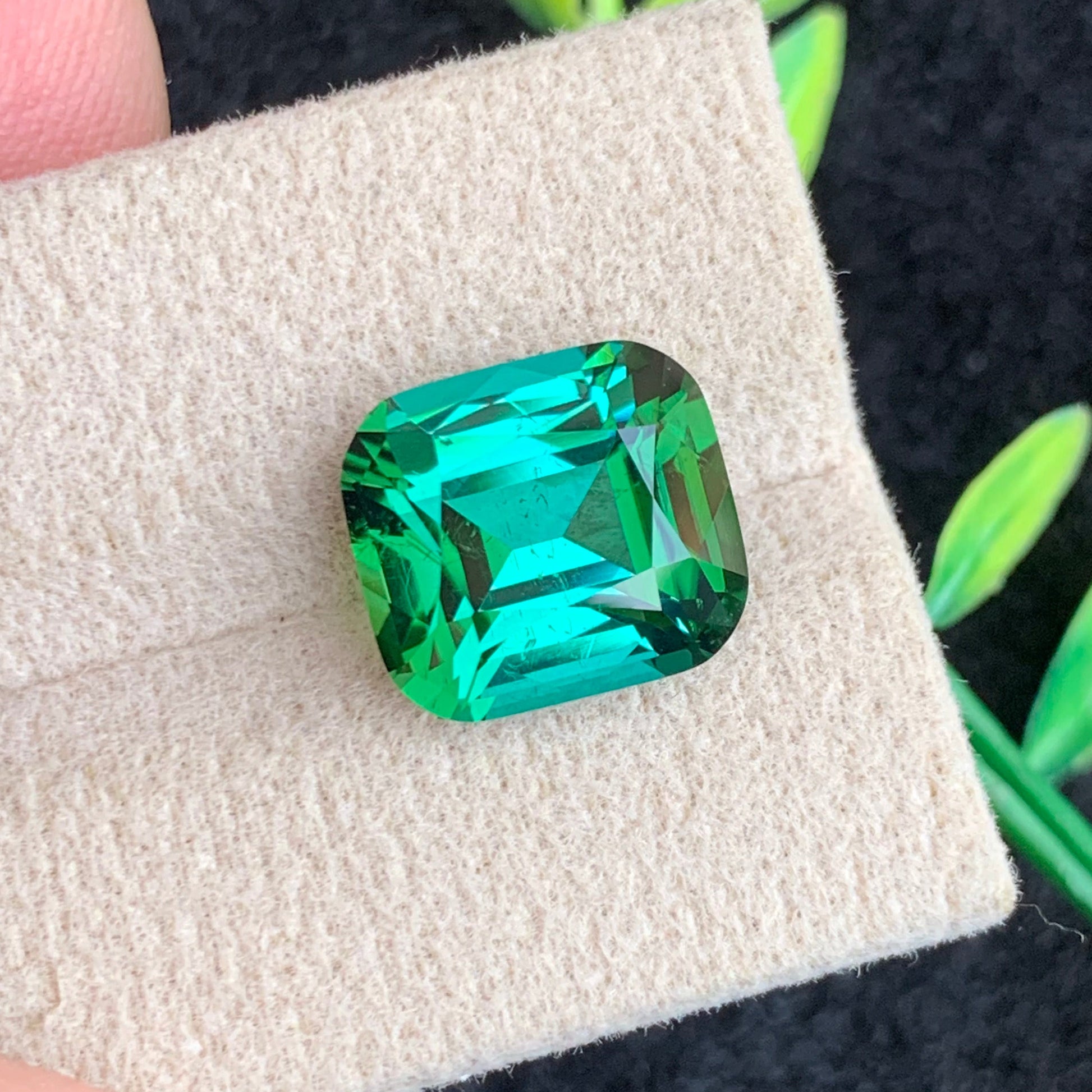  Bluish Green Tourmaline Gemstone
 Bluish Green Tourmaline Jewelry
Loose Bluish Green Tourmaline Stone
Premium Afghan Tourmaline Gem