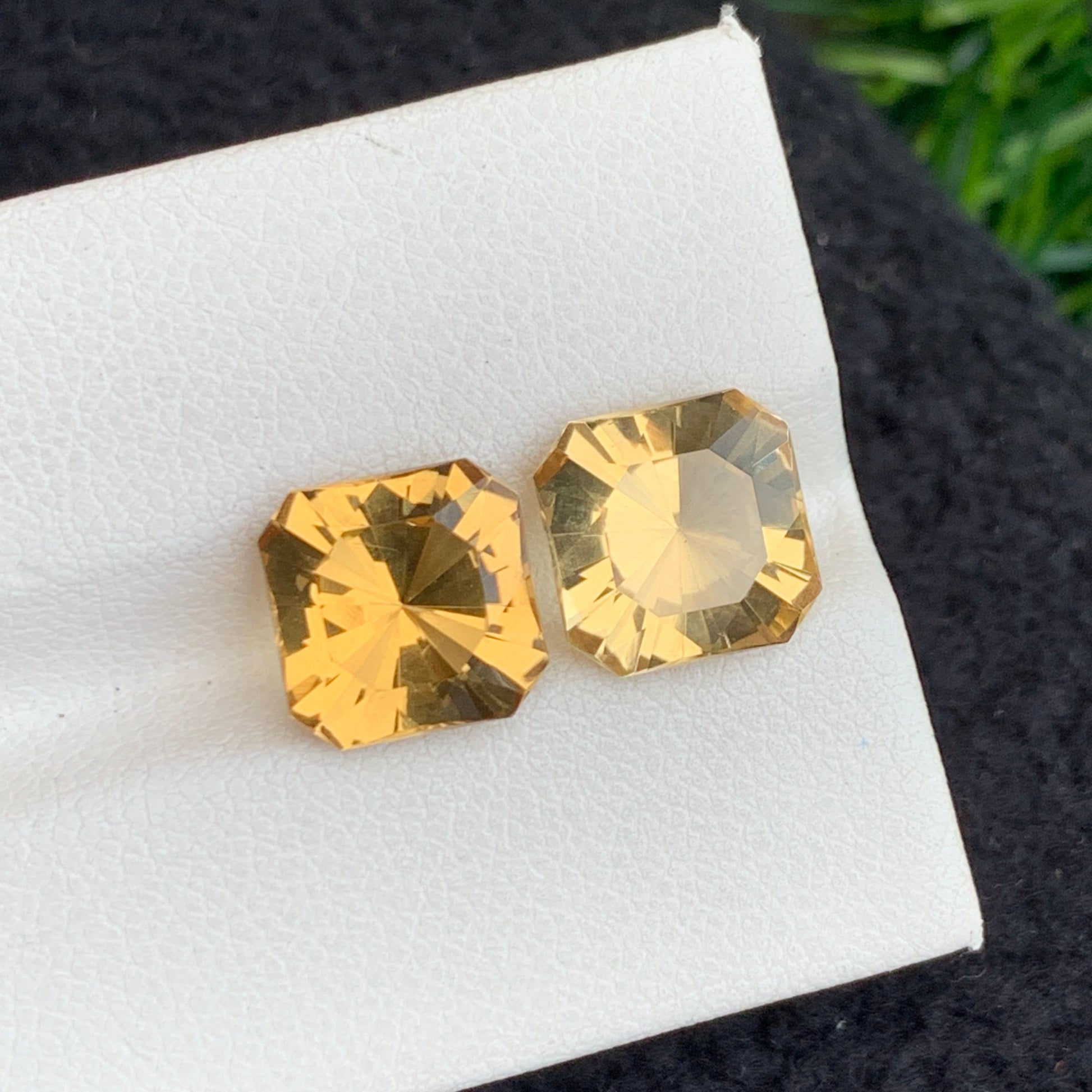 Loose Citrine Pair Displayed for Custom Jewelry Design