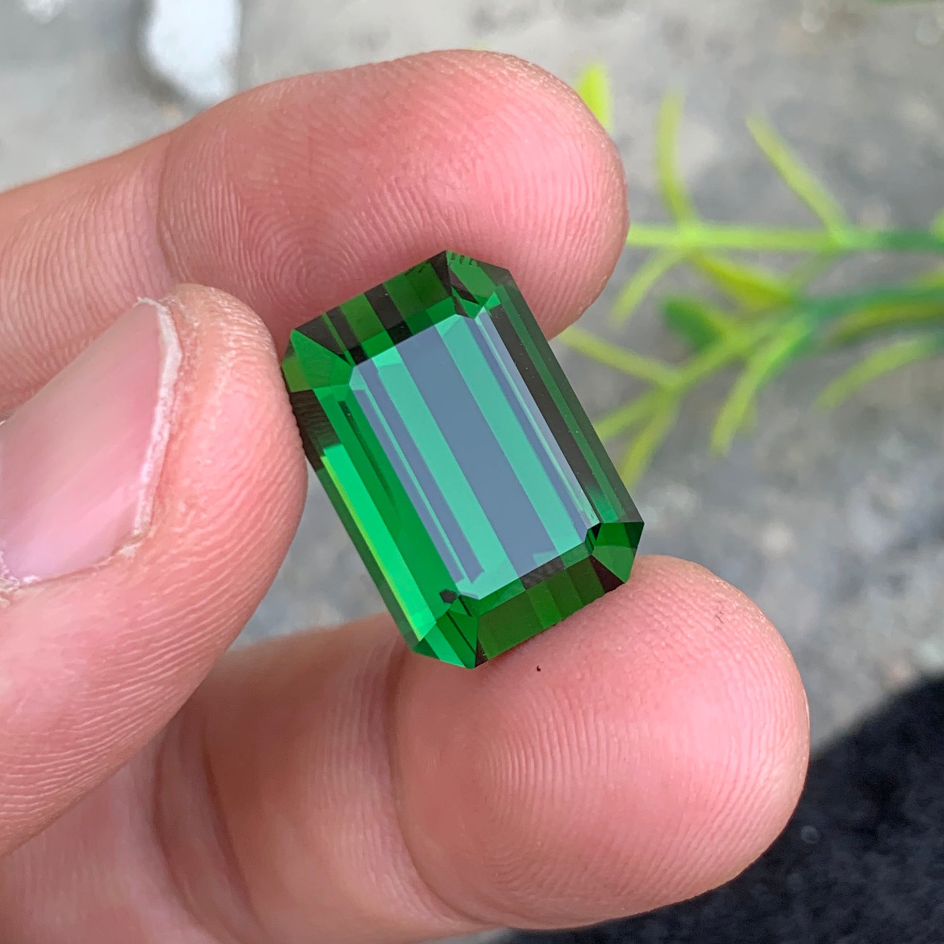 Vivid Green Tourmaline Gemstone
Vivid Green Tourmaline Jewelry
Loose Rich Green Tourmaline Gemstone
Premium Emerald Cut Tourmaline