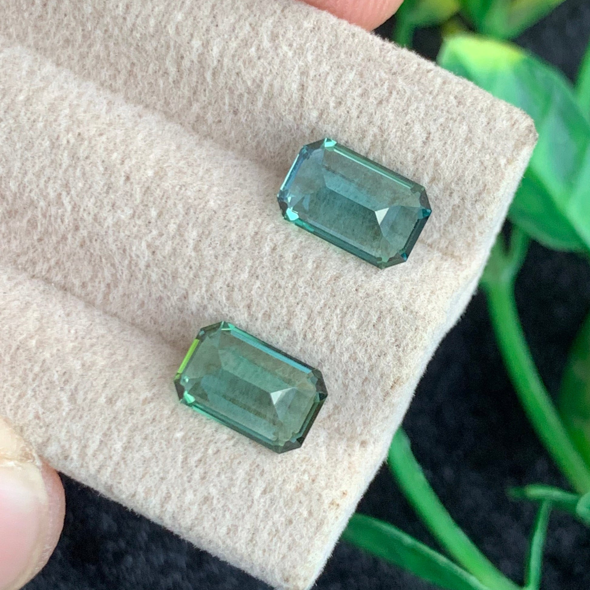 Matching emerald cut lagoon tourmaline pair from Afghani