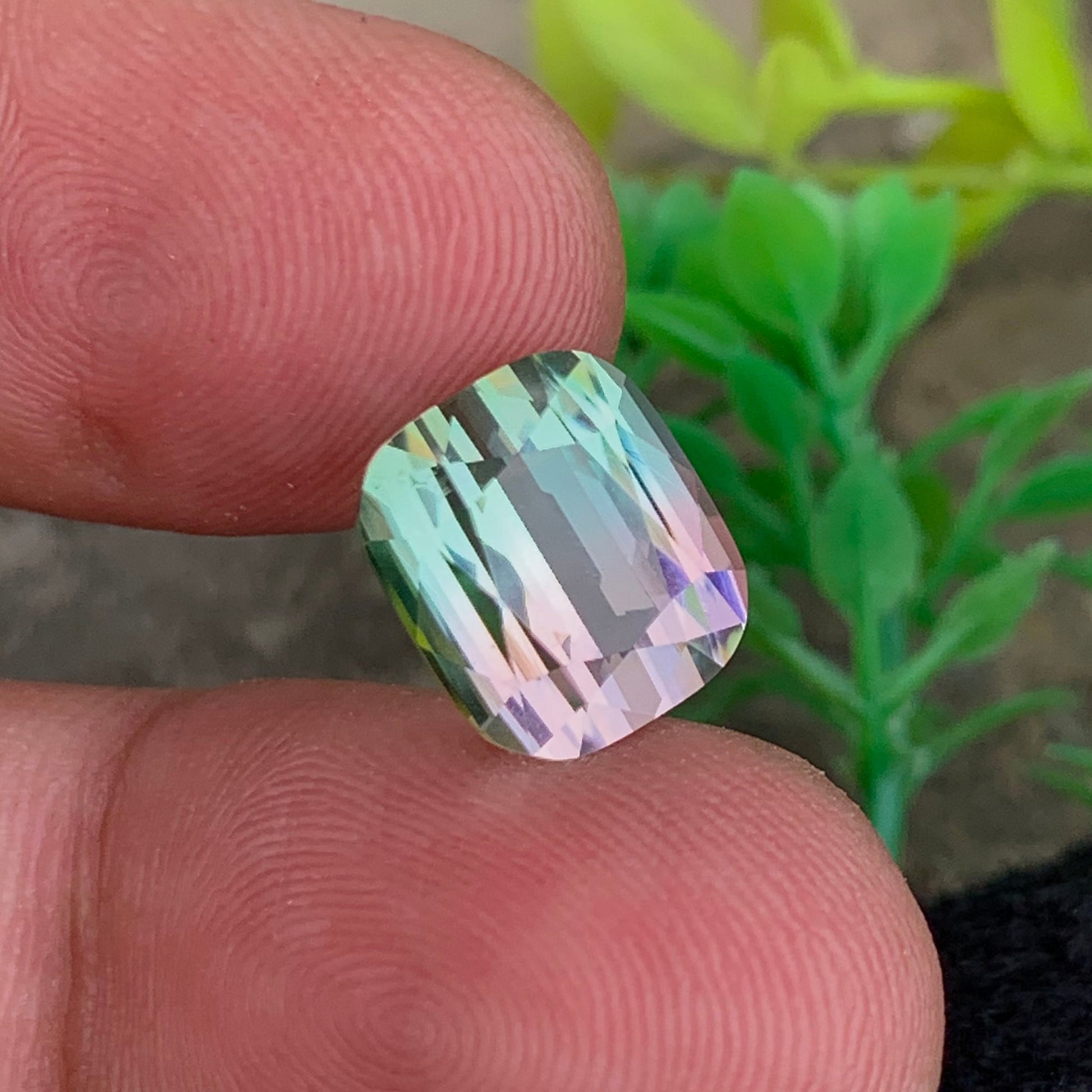 Natural Dual Color Tourmaline
Eye Clean Bicolor Tourmaline