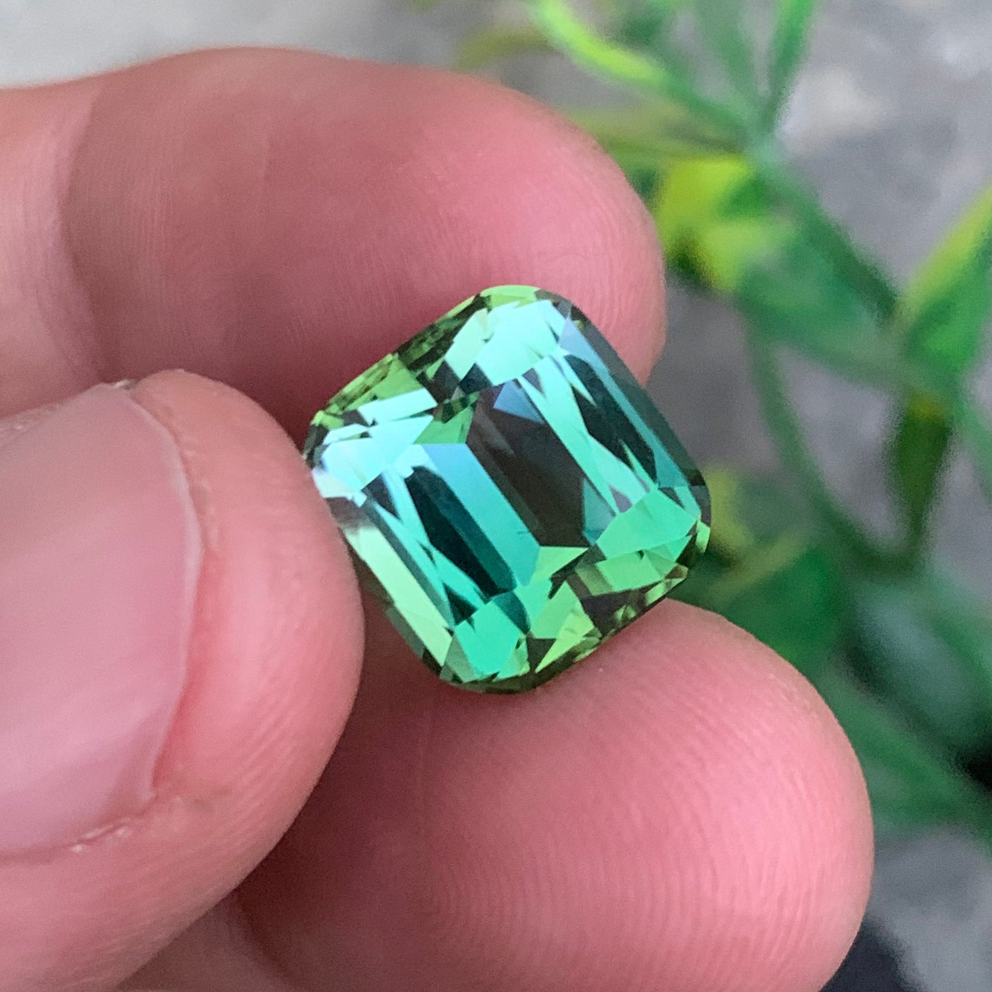 Natural untreated Afghan tourmaline bicolor stone
Luxury 10 carat green tourmaline gemstone for jewelry
Clean clarity bicolor tourmaline cushion cut gemstone