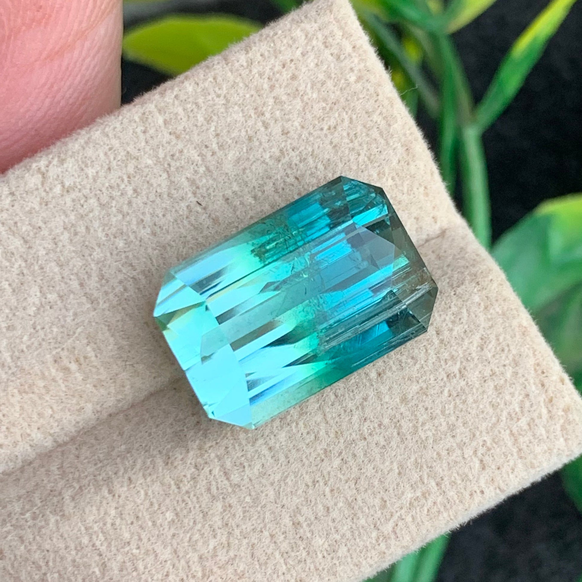 Tricolor Tourmaline
Natural untreated bicolor tourmaline 12.45 carats
Luxury Afghan bicolor tourmaline for jewelry