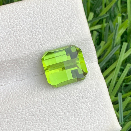 Green Peridot
Pea Green Peridot
olive green peridot