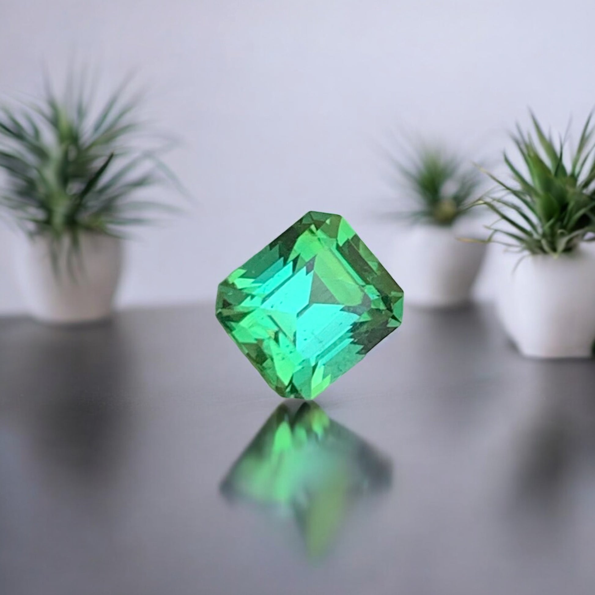 Bluish Green Jewelry
Onestep Gems bluish green tourmaline displayed on white background