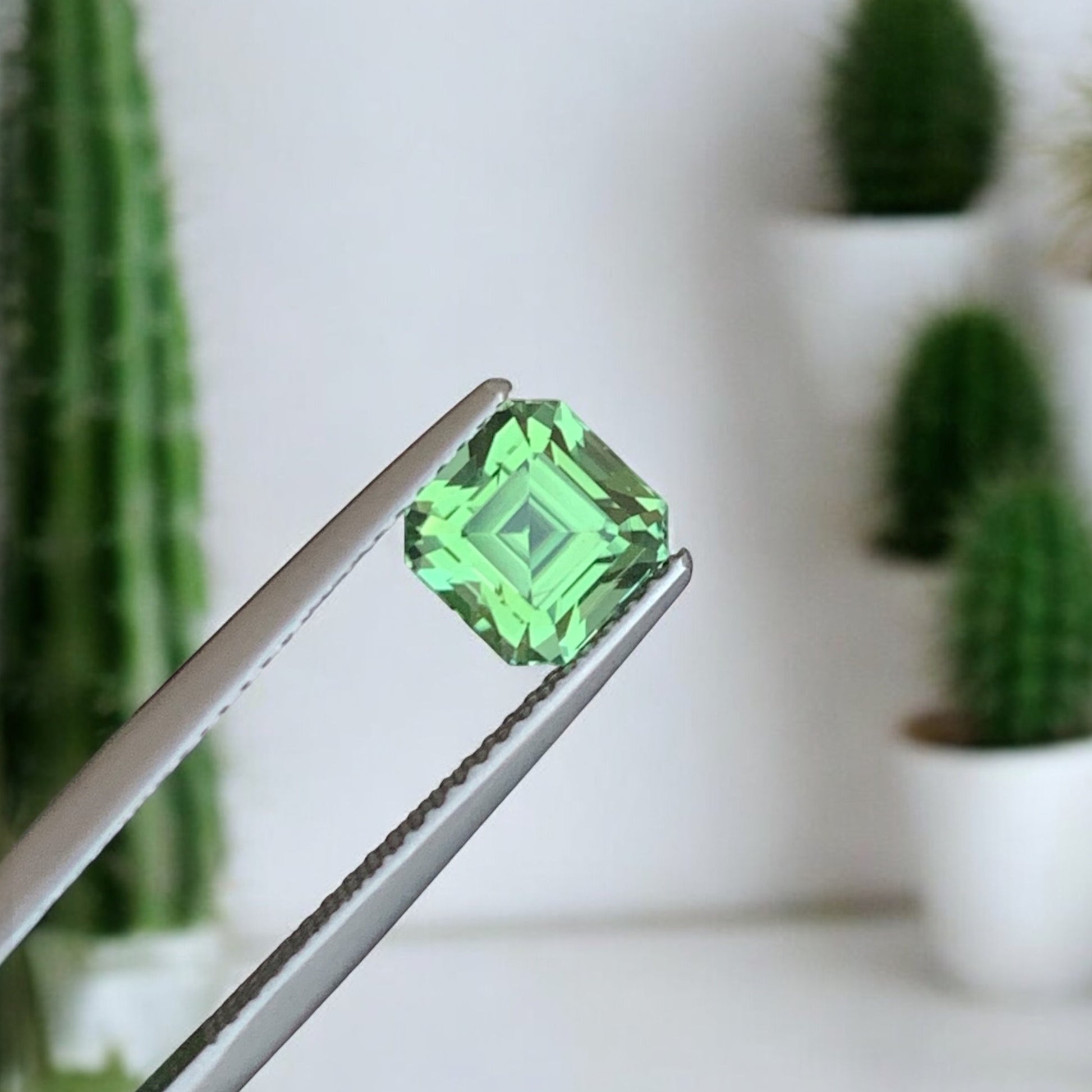 Peridot
Onestep Gems green peridot Asscher cut gem top view

