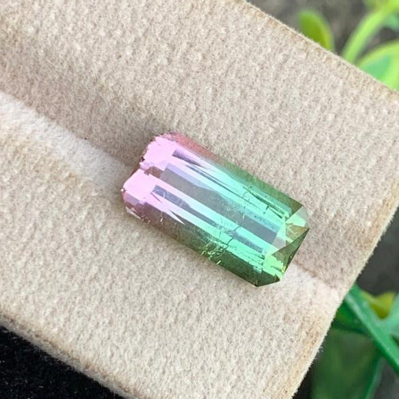 Bicolor Tourmaline ring
Pink green watermelon tourmaline scissor cut close-up
VVS watermelon tourmaline gemstone Afghanistan