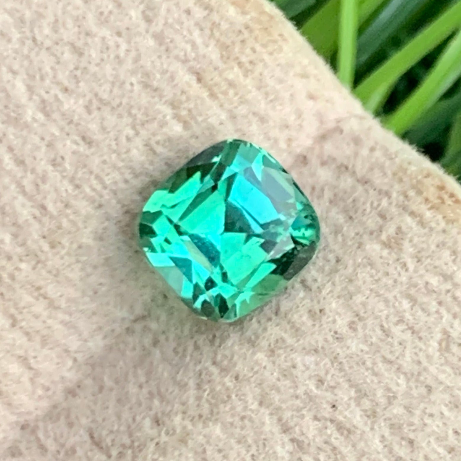 Premium Afghan tourmaline with rare bluish green color
Fine quality cushion cut tourmaline for rings and pendants
