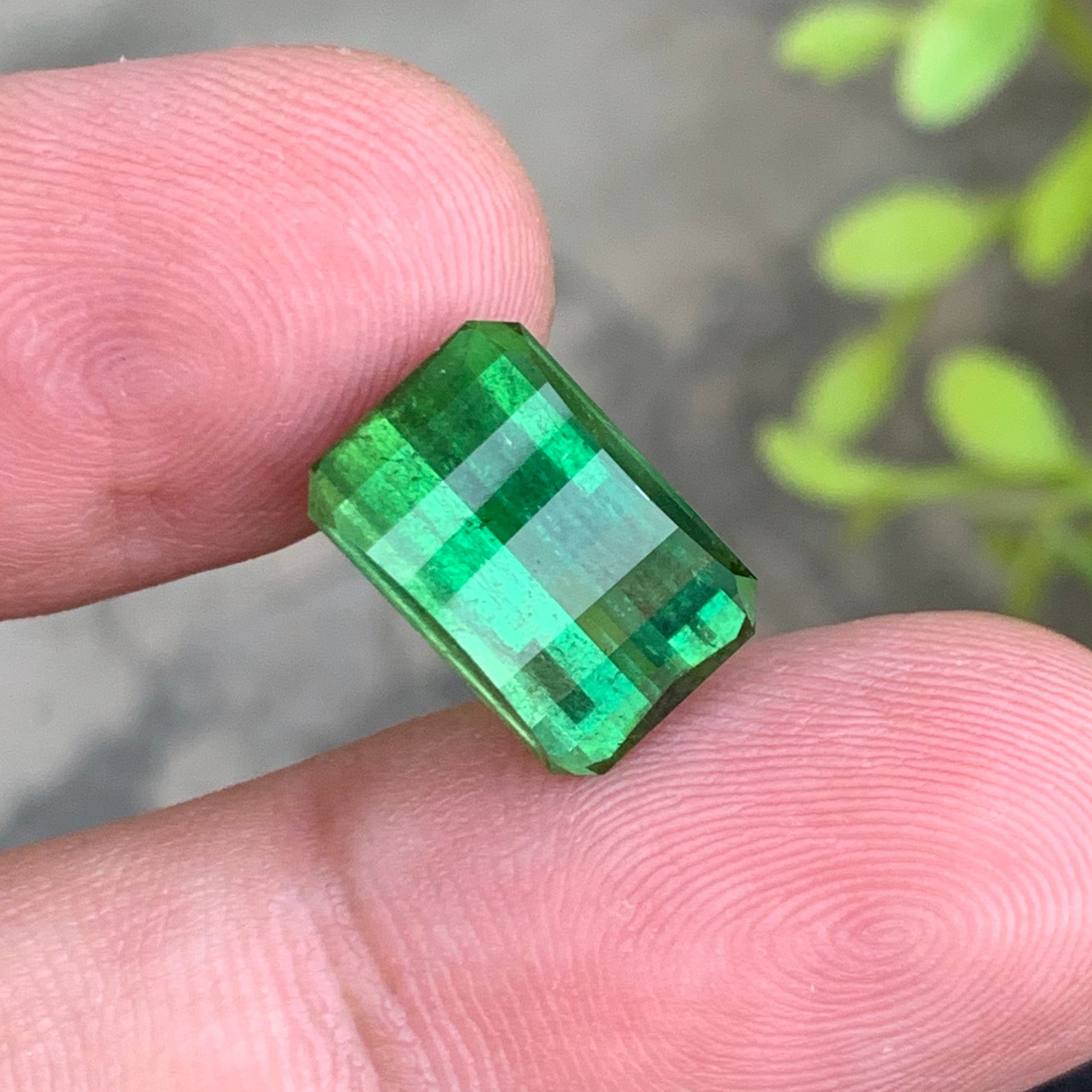 usa tourmaline
usa gems shop
Premium Green Tourmaline for Custom Jewelry
Collector Grade Green Tourmaline Gemstone